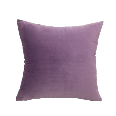 Velvet Cushion Cover Decluttered Homes