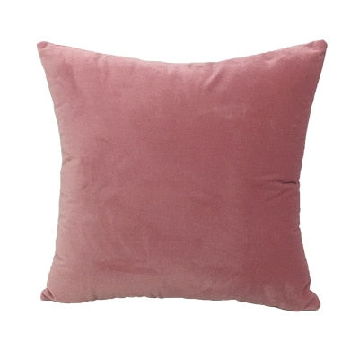 Velvet Cushion Cover Decluttered Homes