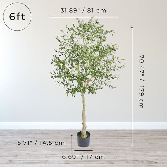 Six-foot artificial olive tree with dimensions shown, perfect for indoor decor