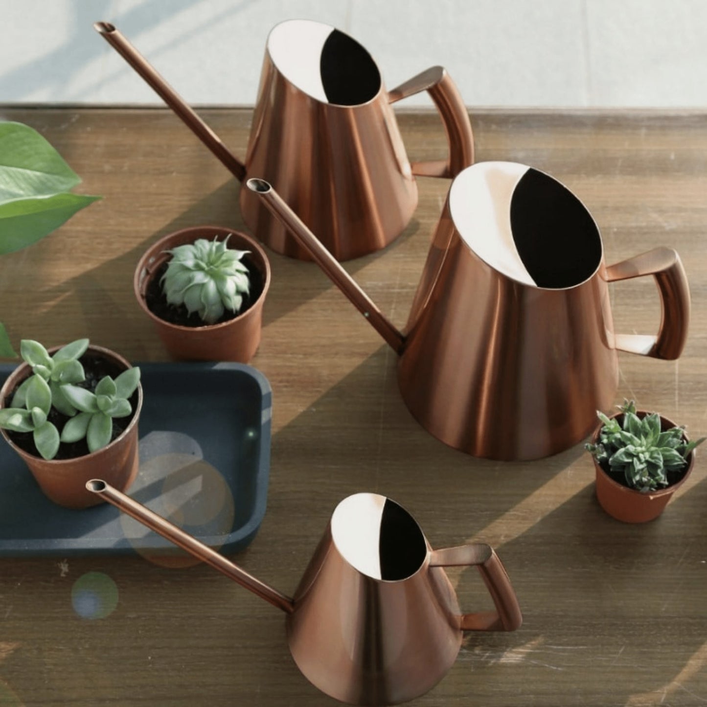 Modern Metal Watering Can Watering can Decluttered Homes