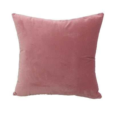 Velvet Cushion Cover  Decluttered Homes