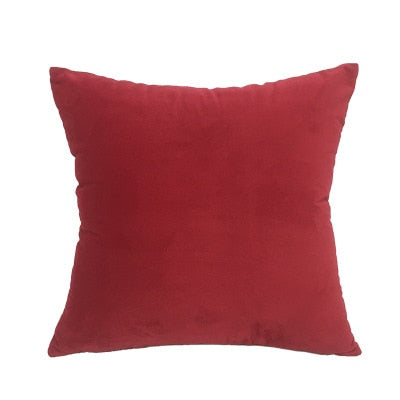 Velvet Cushion Cover  Decluttered Homes